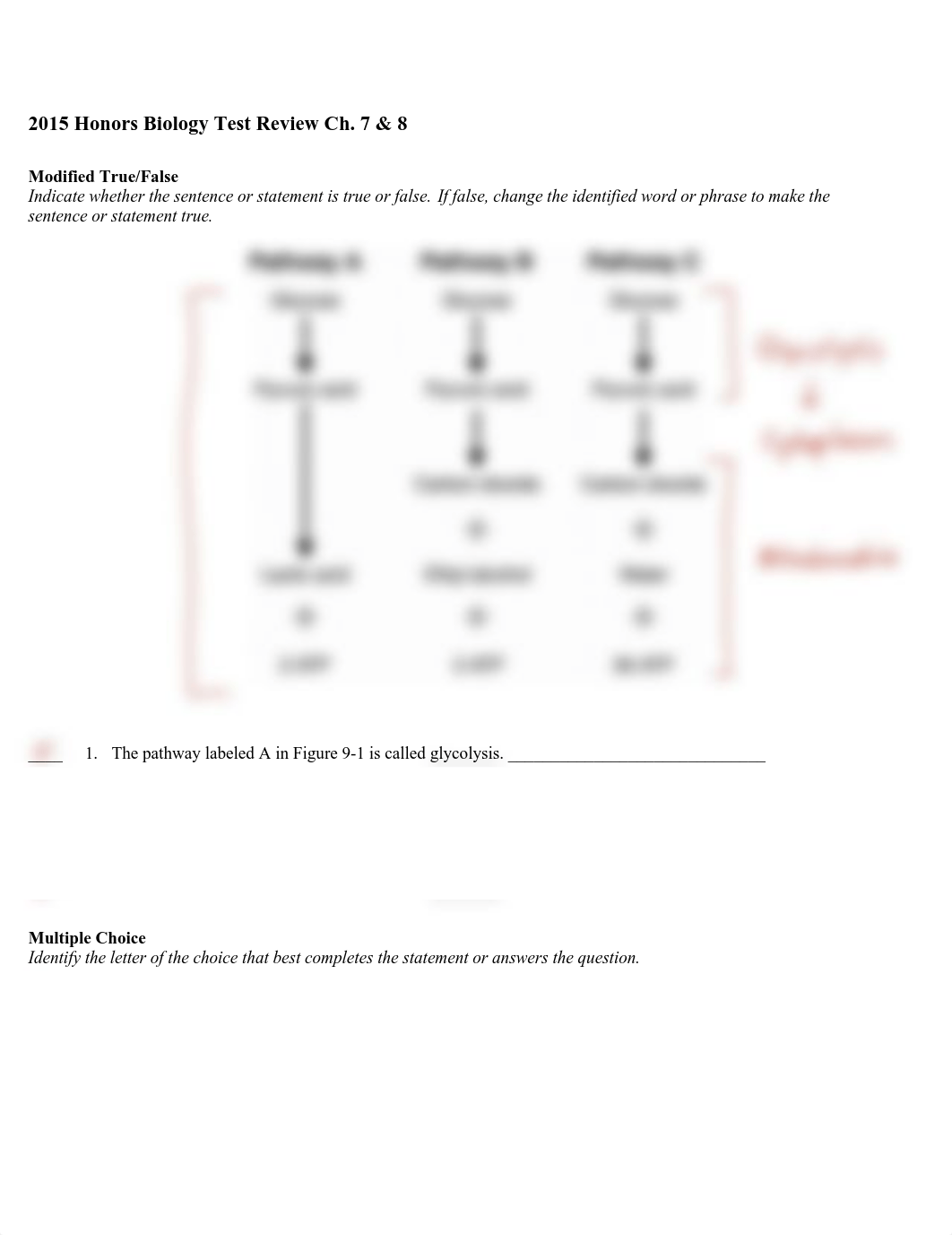 Cellular Respiration and Photosynthesis Review.pdf_d8i2681jk7f_page1