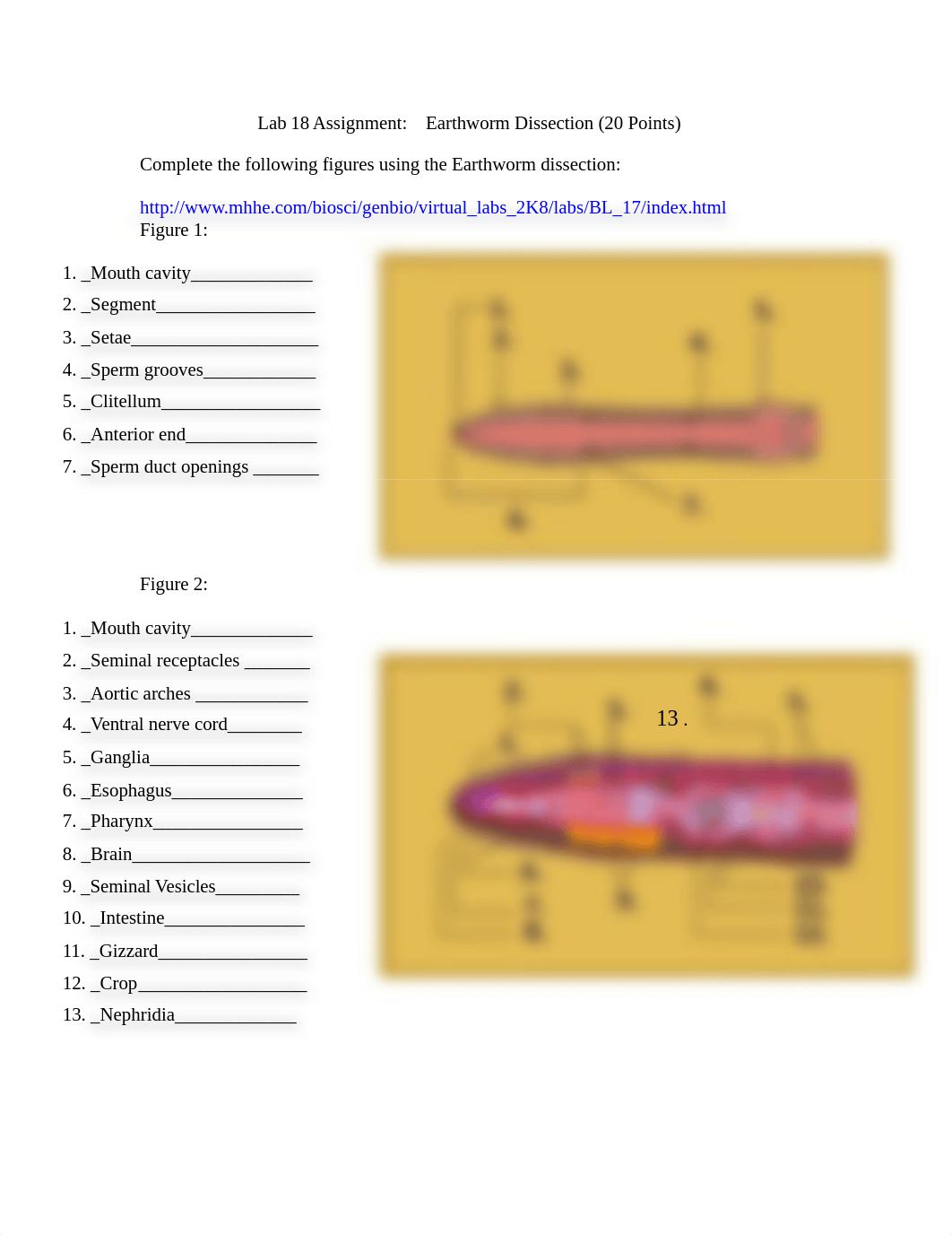 Lykins_Hadley_Lab assignment 18.doc_d8i36oit5y1_page1