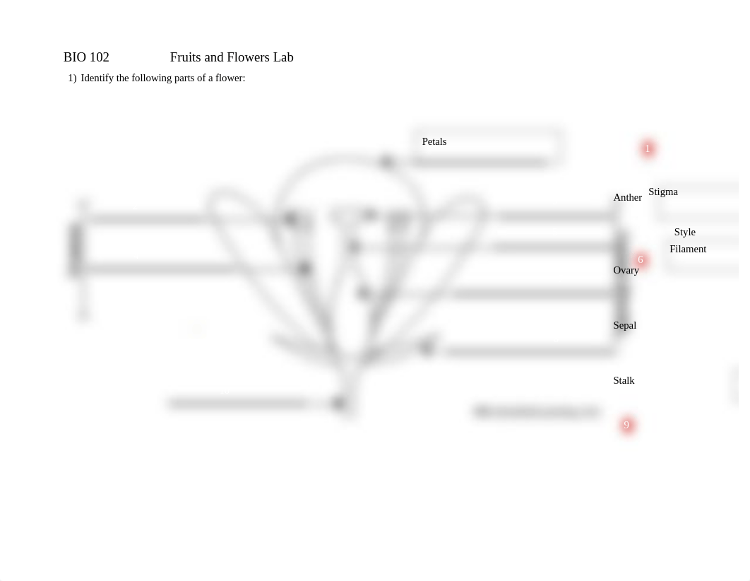 FruitsAndFlowers-1.docx_d8i44fozkvk_page1