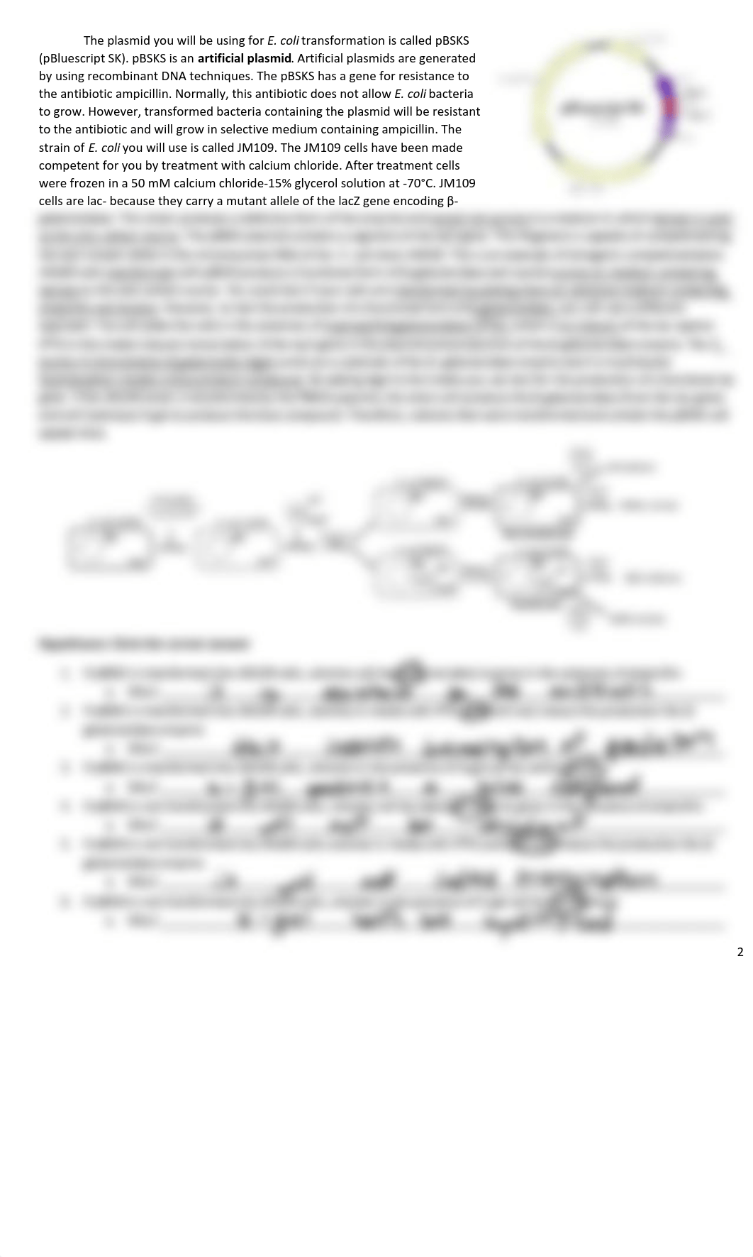 Bacterial genetics_Uploaded-2.pdf_d8i4ksjwv5r_page2