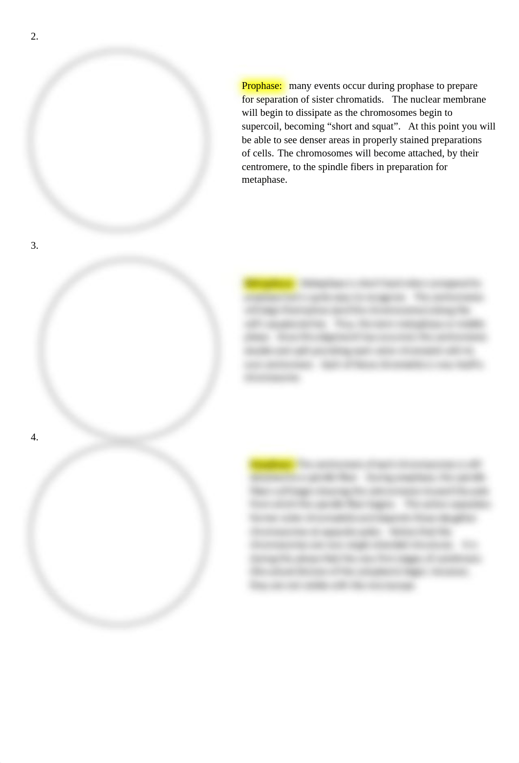 Lab 7 Exercise S21.pdf_d8igwn2iew2_page2