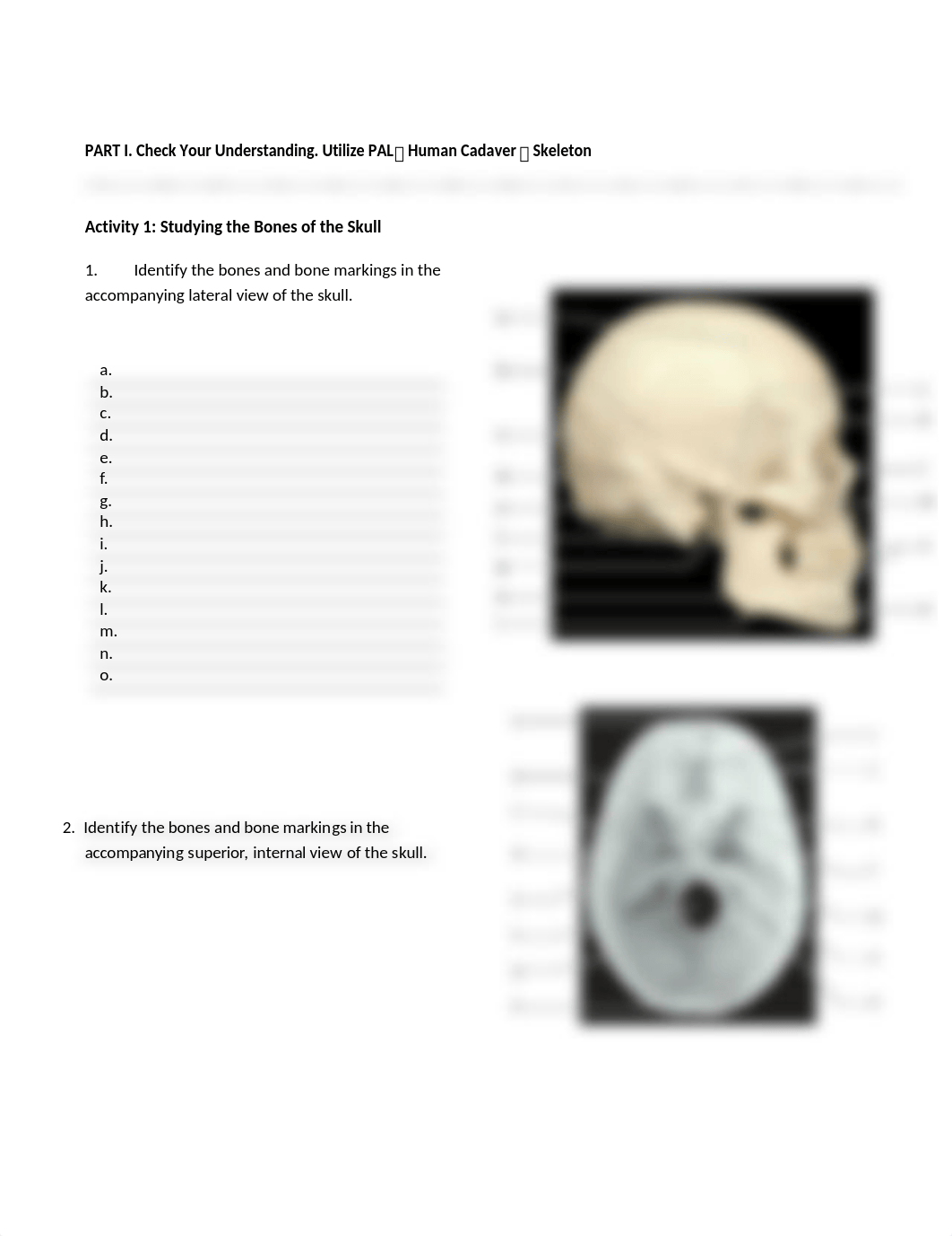 5. Unit 5 laboratory exercise 8, 9, & 10.docx_d8ijbqrx7aa_page3