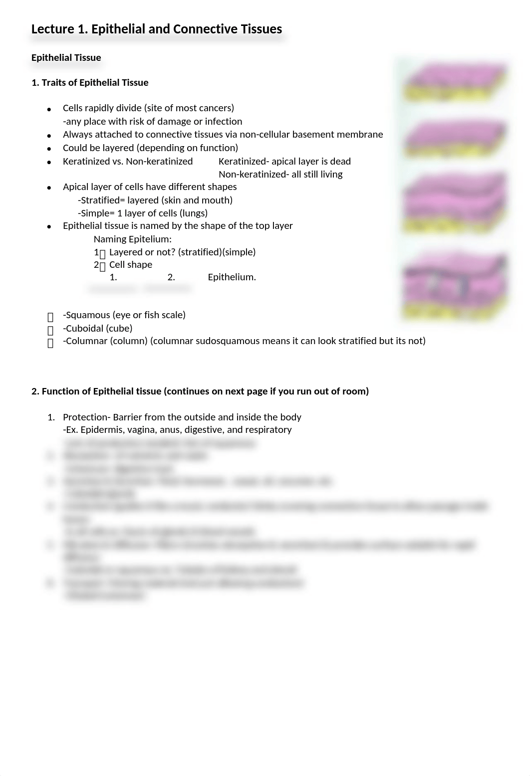 Epithelial: Connective Tissue.docx_d8imc3987dq_page1