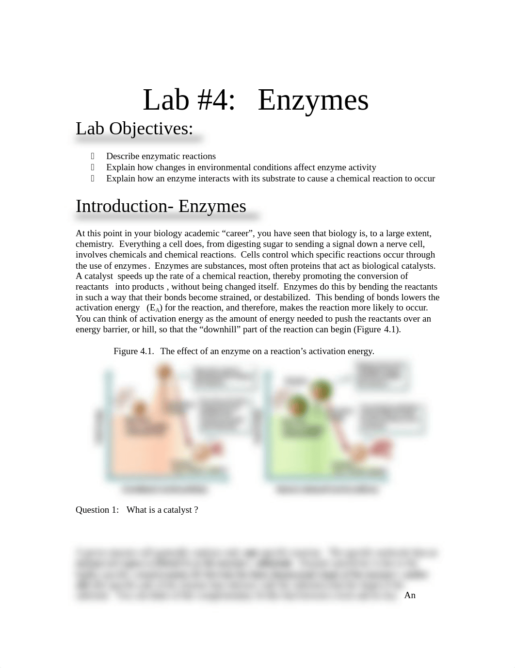 Lab #4  Enzymes RevFA16.pdf_d8irffugdjj_page1