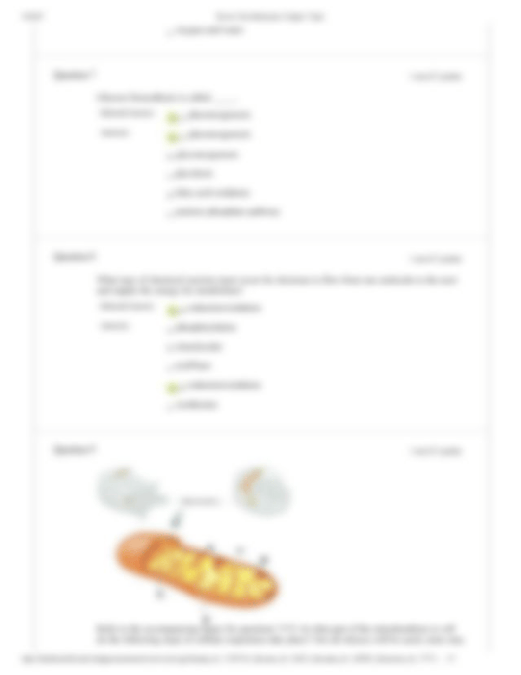 Chapter 7 Quiz 4_d8ivxr1hc9i_page3