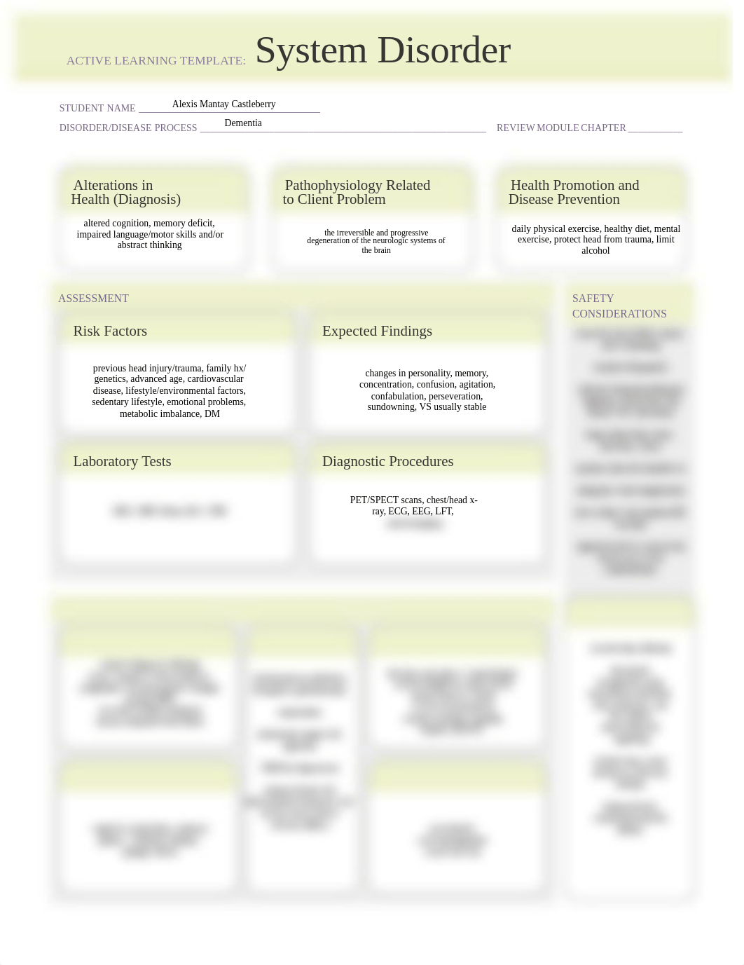 Mental Health B Dementia - System Disorder Template.pdf_d8iy1jba9qx_page1