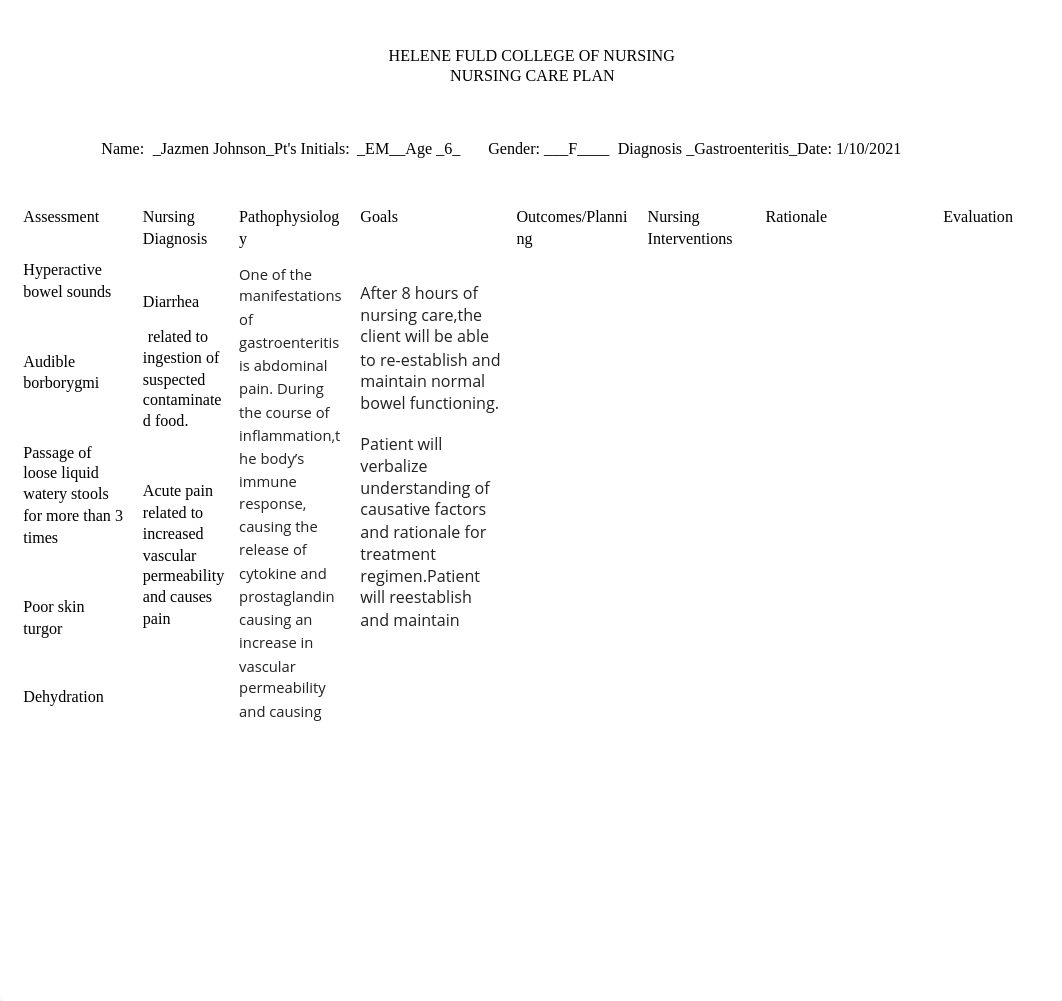 eva careplan.docx_d8j3nb3ovcb_page1