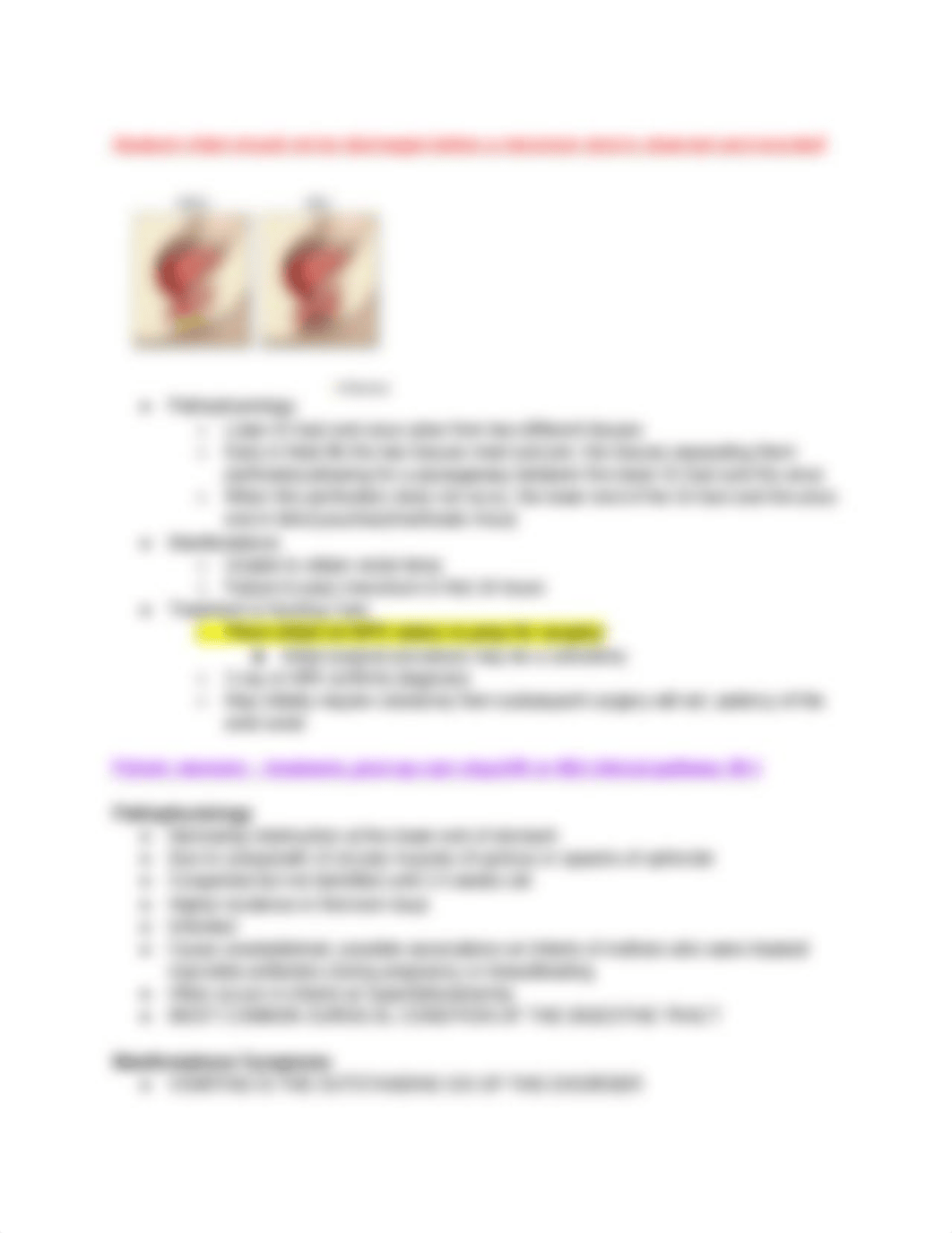 PEDS exam 3.docx_d8j9e83ji2k_page2