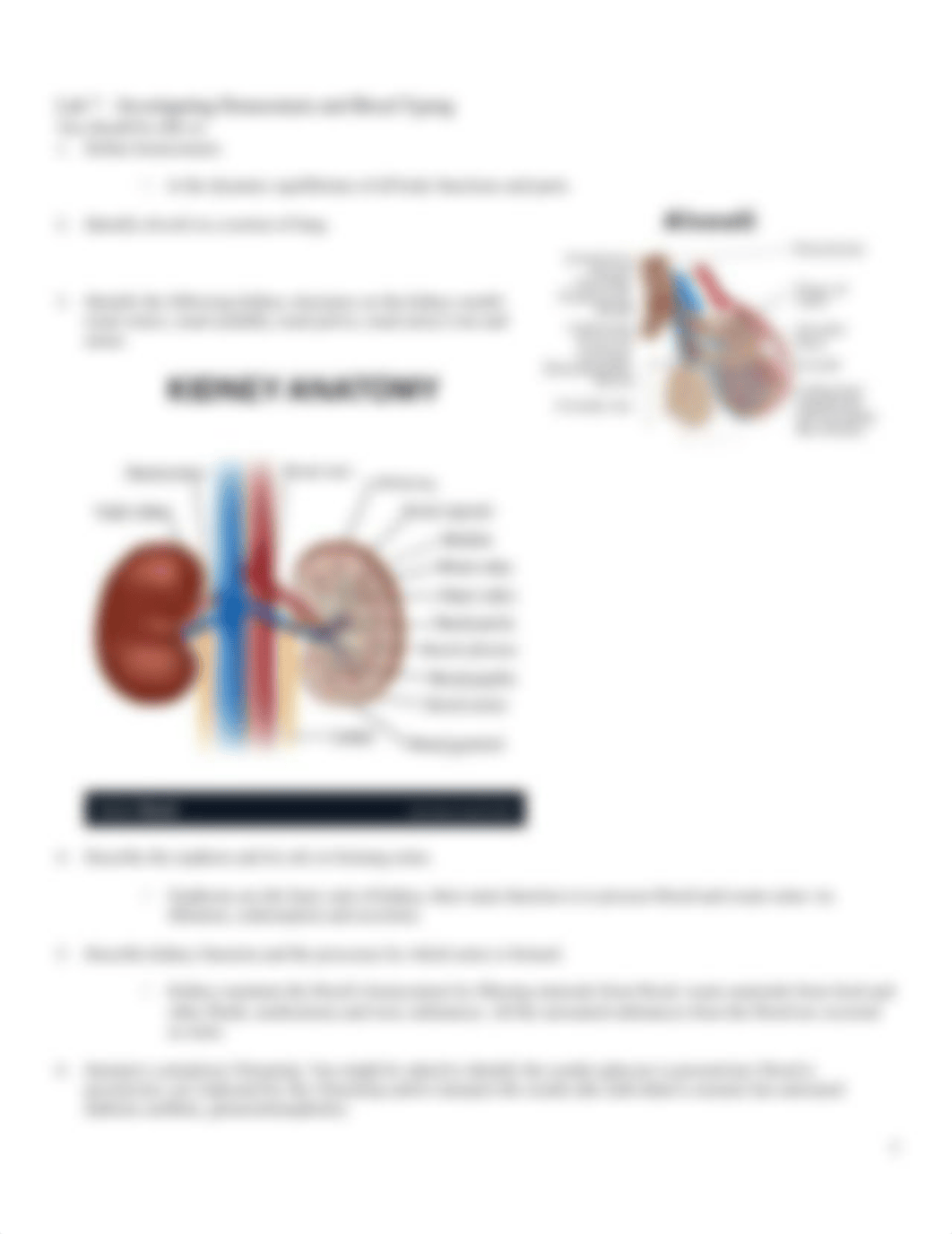 Sp Su Biol 1120 Lab practical 2 review A.docx_d8jc3mqsmoi_page3