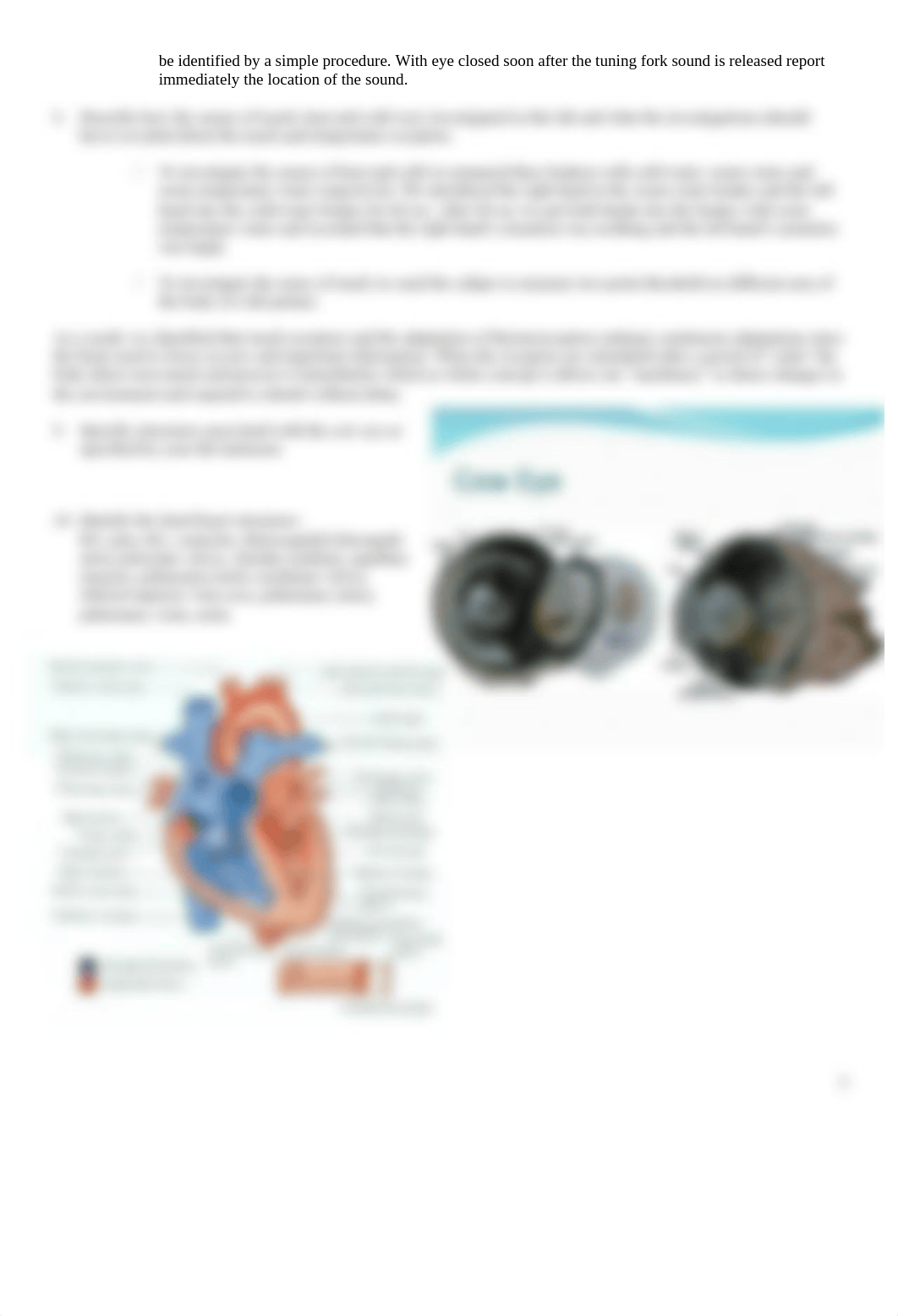 Sp Su Biol 1120 Lab practical 2 review A.docx_d8jc3mqsmoi_page2