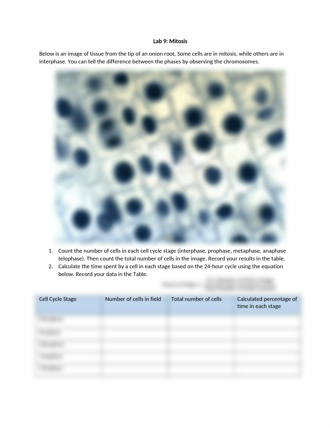 Lab 9 Mitosis Gsci 104 (1).docx_d8jrzgv59ik_page1