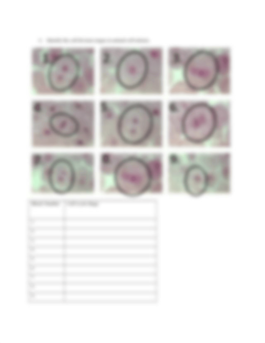 Lab 9 Mitosis Gsci 104 (1).docx_d8jrzgv59ik_page3