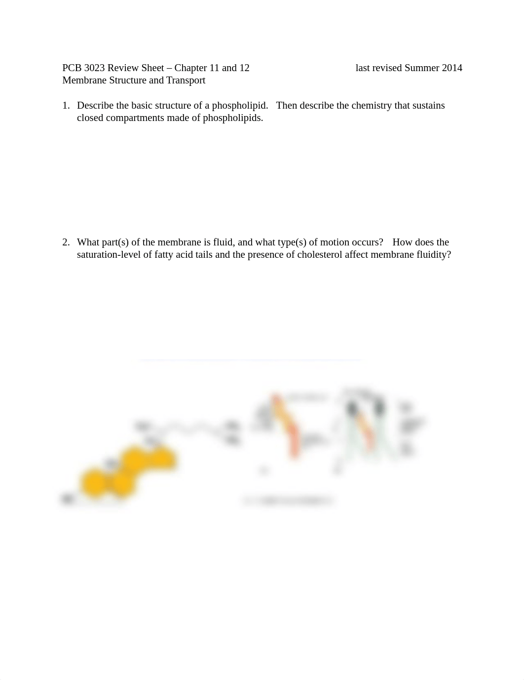 PCB Exam 3 Study Guide .doc_d8jtbfb9ylj_page1