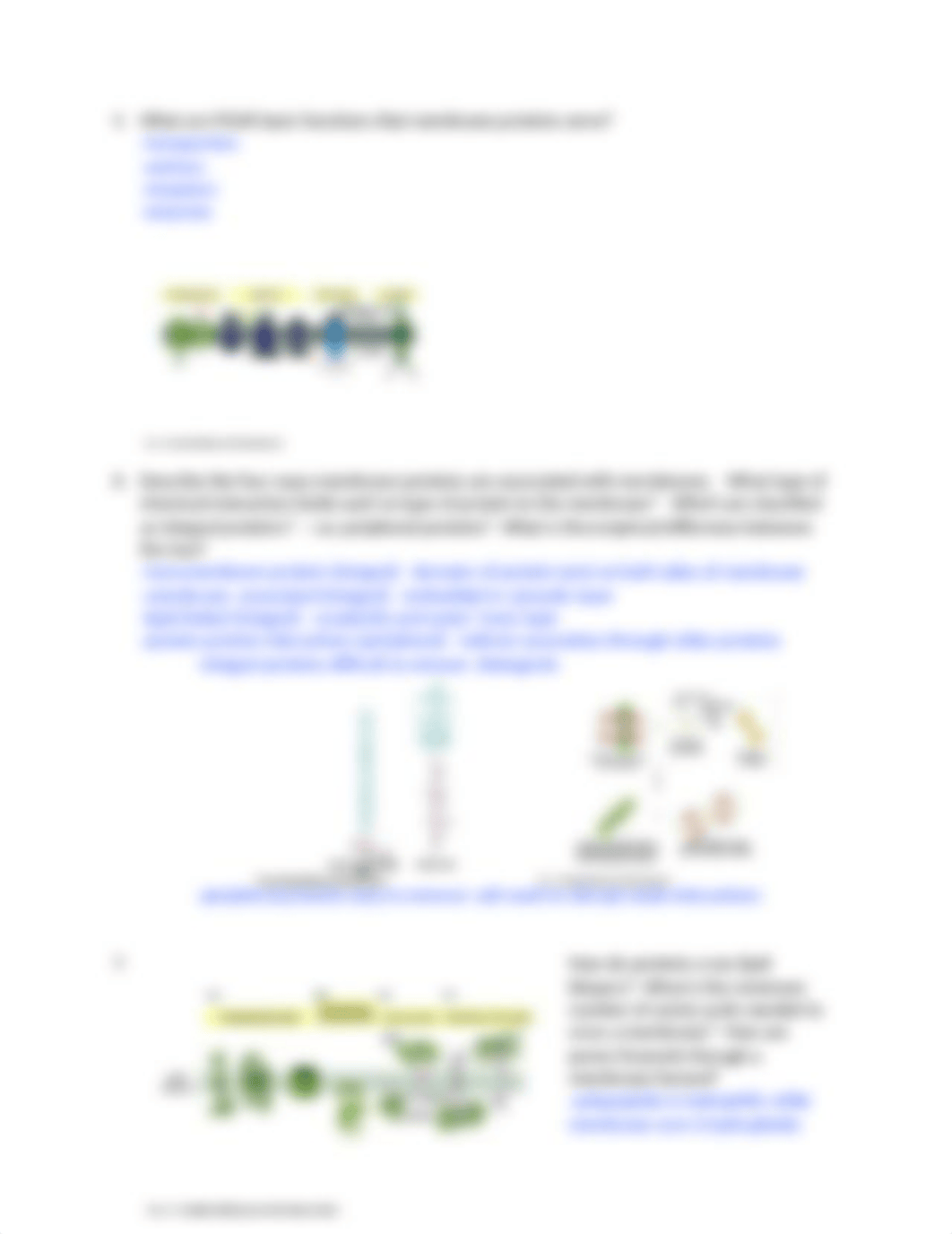 PCB Exam 3 Study Guide .doc_d8jtbfb9ylj_page3