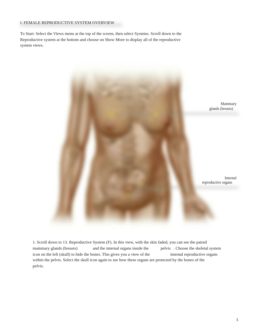 Lab - Female Reproductive System.pdf_d8jug4bff42_page3