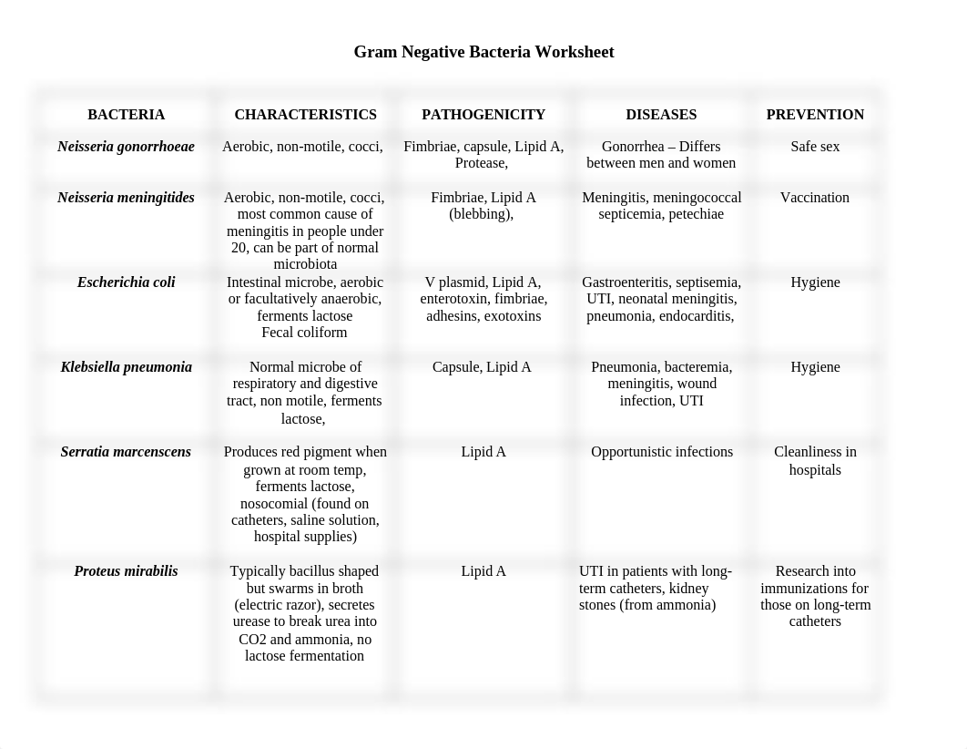 Gram Negative Bacteria Worksheet_d8jvphdxetu_page1