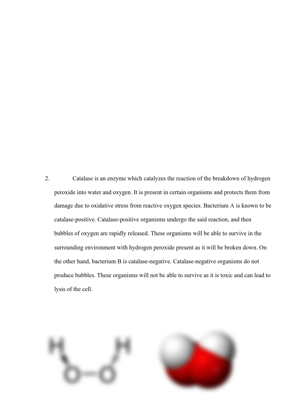 Microbiology Lab Exam- Maddy Edwards.pdf_d8k4jvigjlj_page3