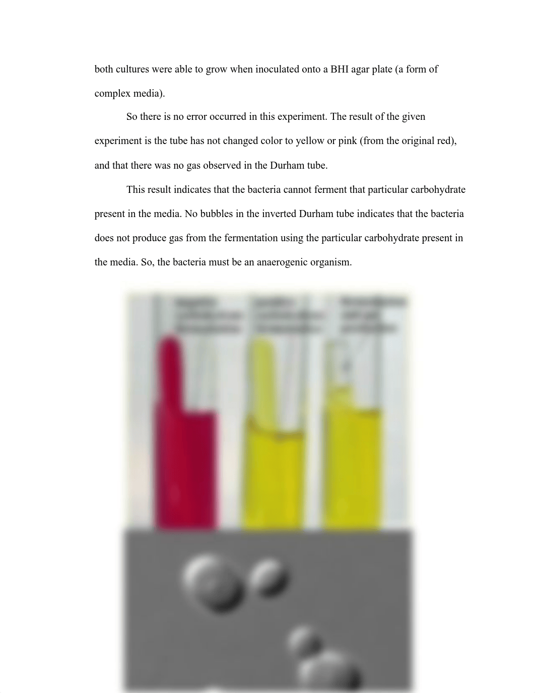 Microbiology Lab Exam- Maddy Edwards.pdf_d8k4jvigjlj_page2