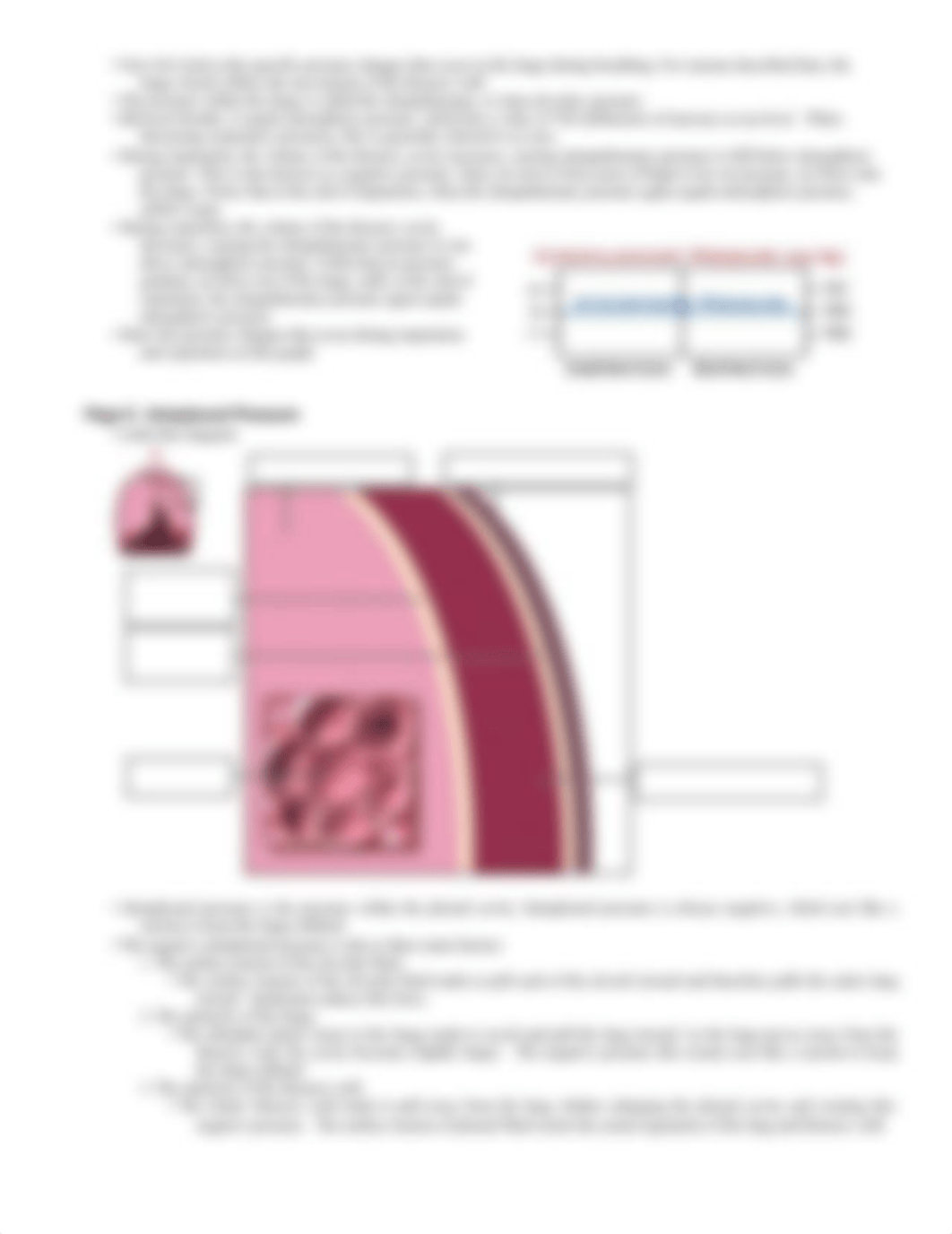 Pulmonary_Ventilation.pdf_d8kdx6vk1tu_page3