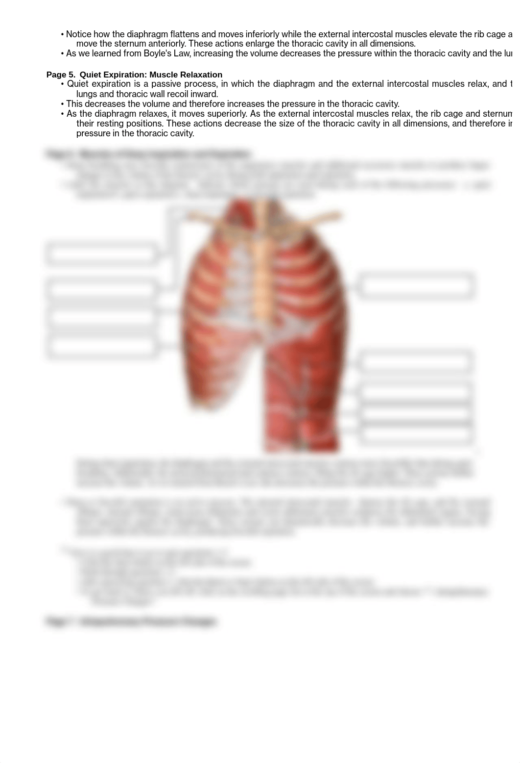 Pulmonary_Ventilation.pdf_d8kdx6vk1tu_page2