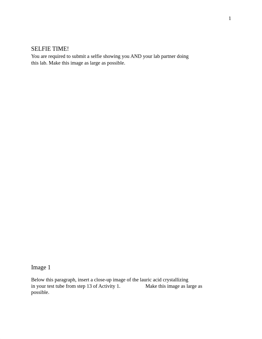 L7 Molar Mass by Freezing Point Depression Lab Report Template.docx_d8kp12de8nh_page2