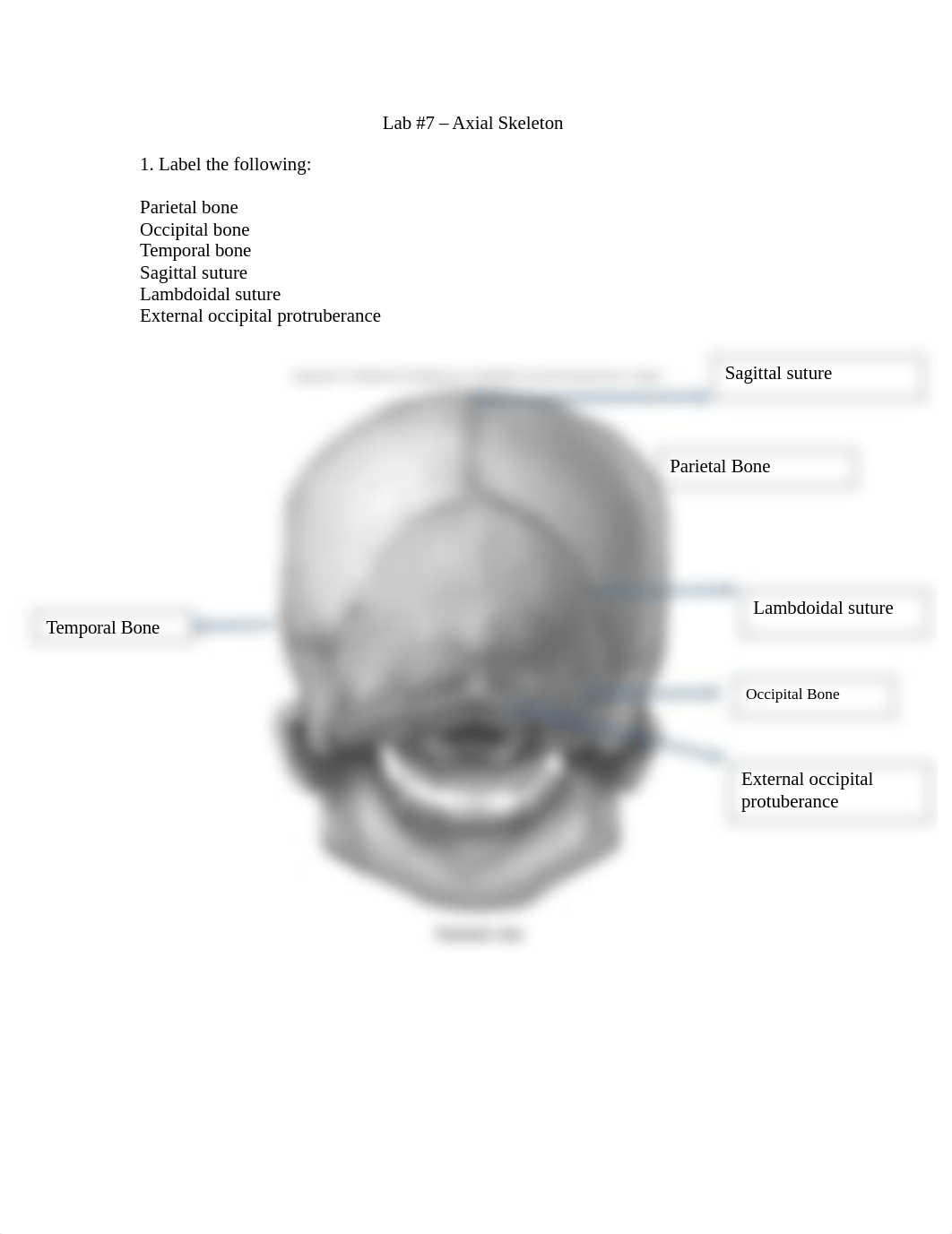 Lab 7 Lab Report AP 1.docx_d8kpor6ylcw_page1