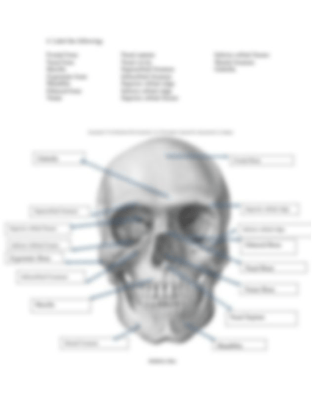 Lab 7 Lab Report AP 1.docx_d8kpor6ylcw_page4