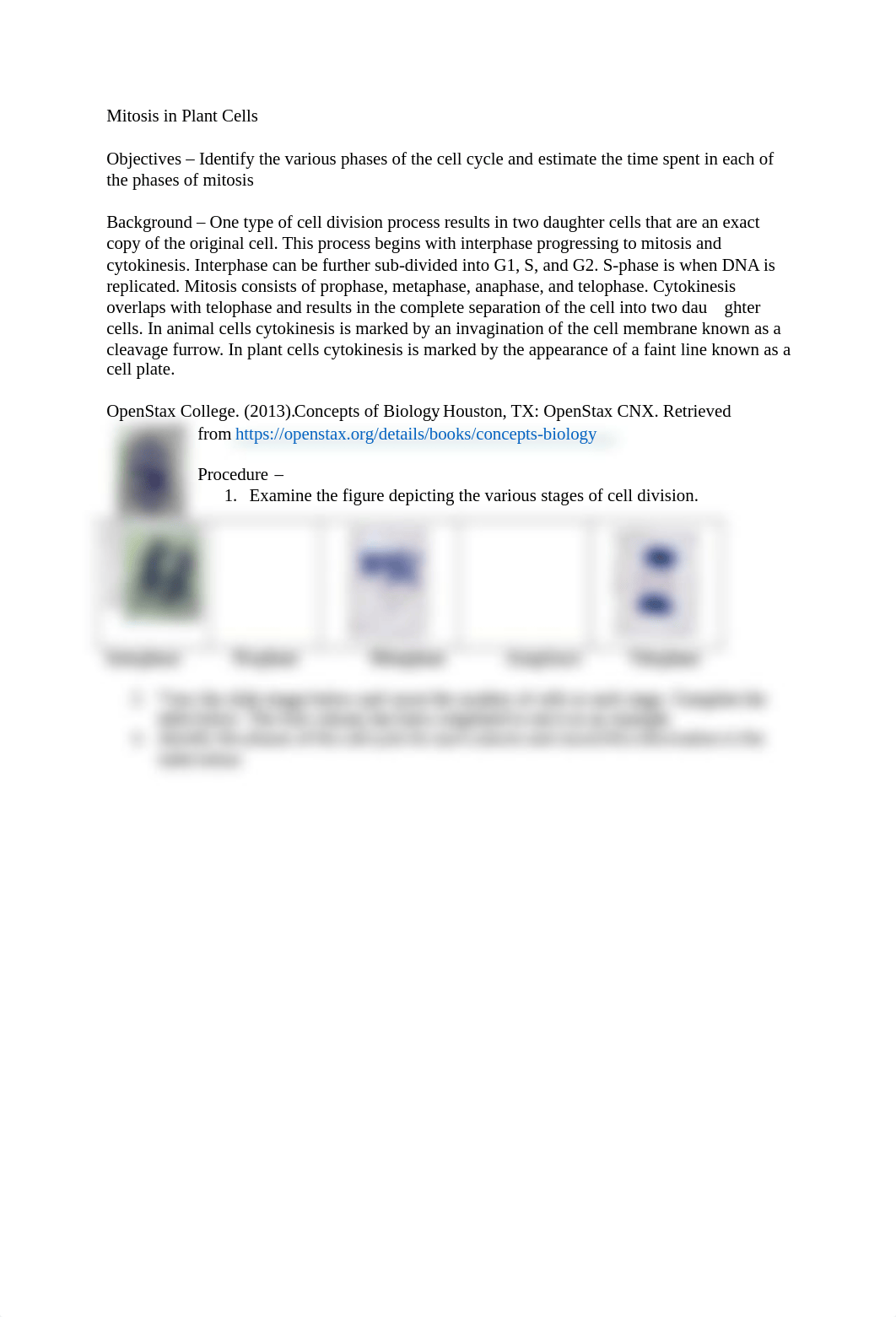 Mitosis in Plant Cells version C-1.docx_d8ktibd65zm_page1