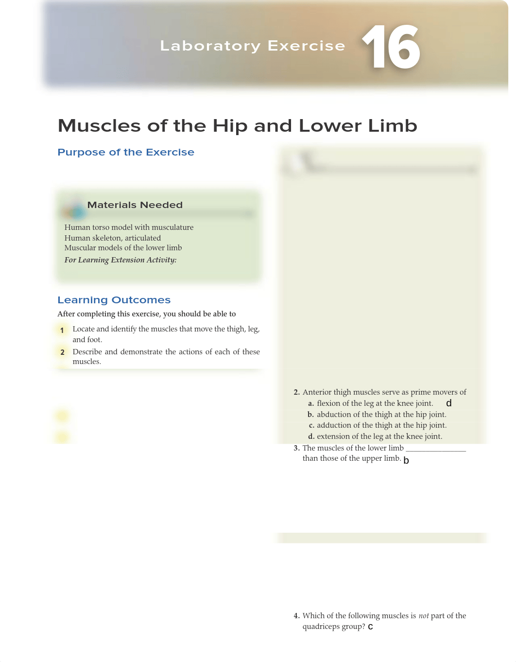 Lab 16.pdf_d8kvw3vwe17_page1