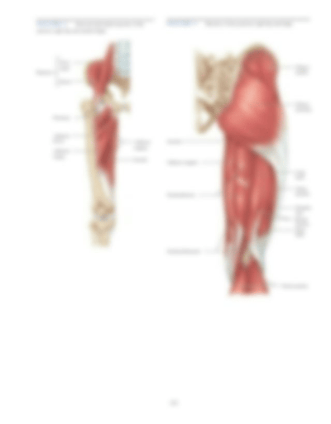 Lab 16.pdf_d8kvw3vwe17_page3