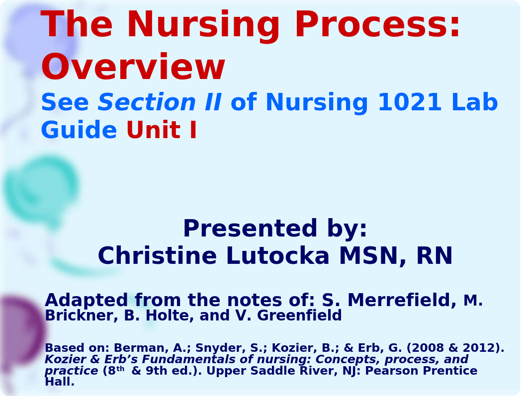 Nursing Process all slides quiz 2_d8kx3bdimao_page2