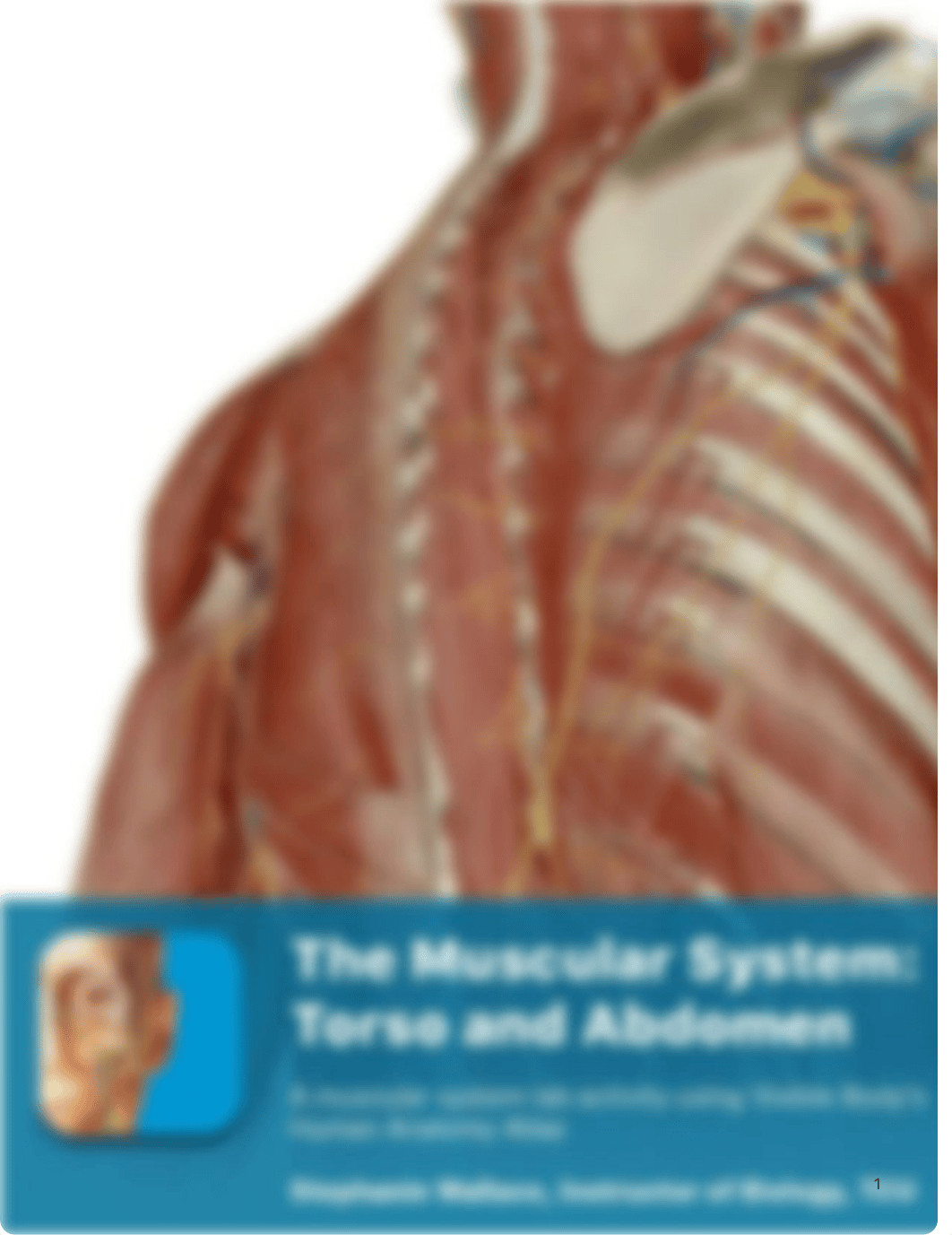 lab manual_muscles abdomen thorax_atlas.pdf_d8kyko0173k_page1