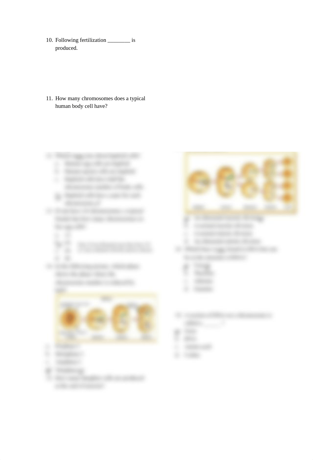 Genetics Test(1)_d8l1rt3vm8f_page2