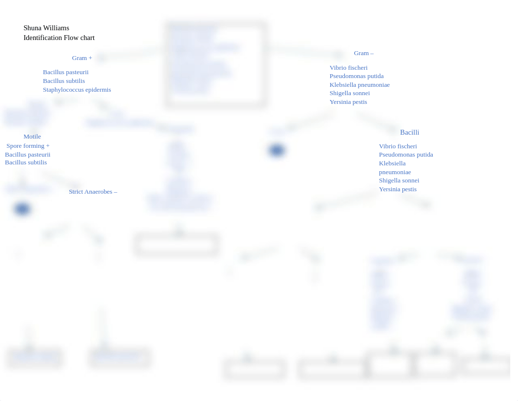 Shuna Williams Identification Flow Chart.docx_d8l2qwz2bez_page1