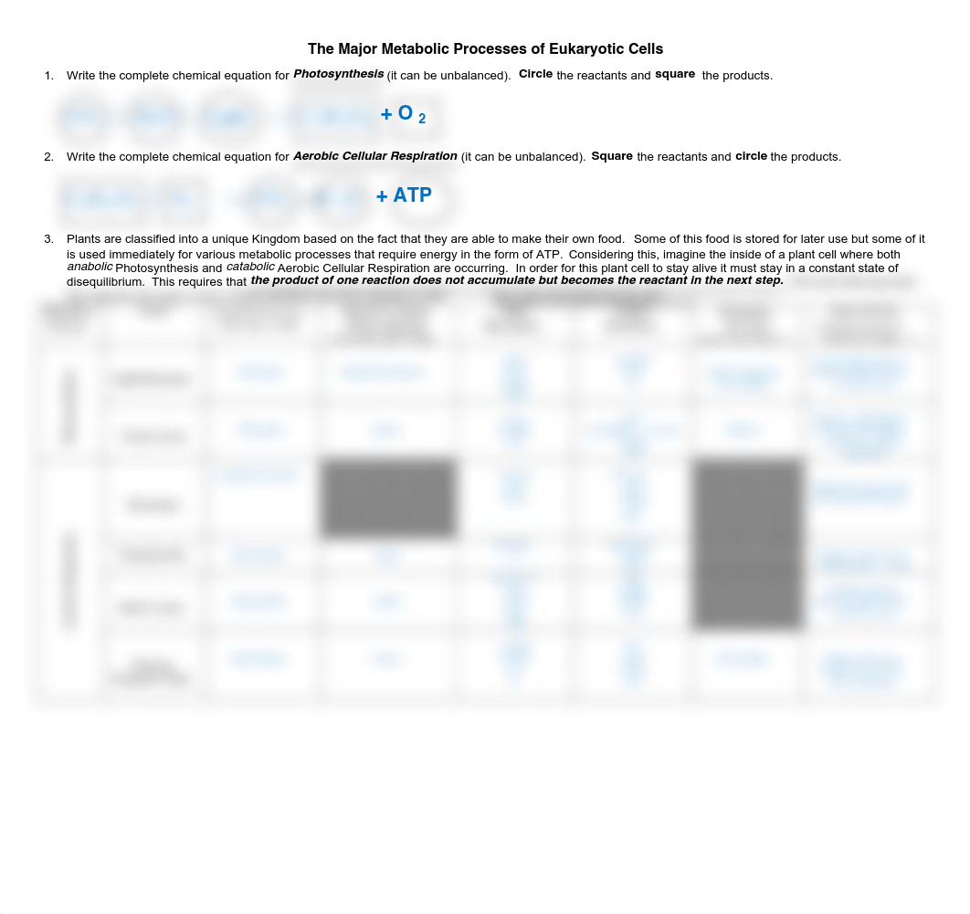 Majort Metabolic Process in Eukarayote Cells (Chart).pdf_d8l6ghrx3q0_page1