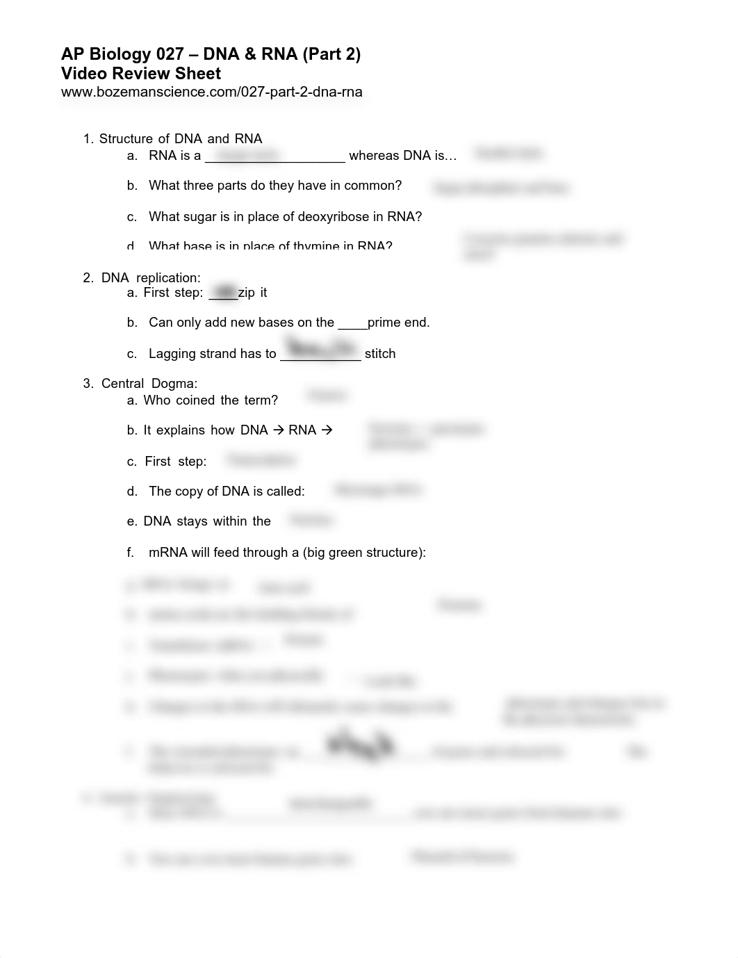 AP+Bio-027+DNA+&+RNA+(Part+2)+Worksheet-WL.pdf_d8lj30hth9z_page1