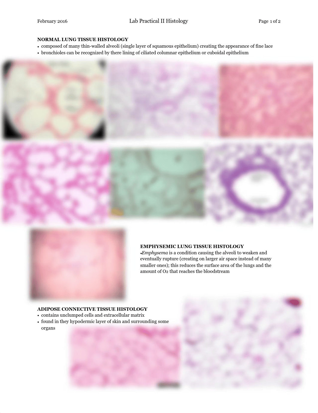 A&P II histology.pdf_d8ljbhkbzwt_page1