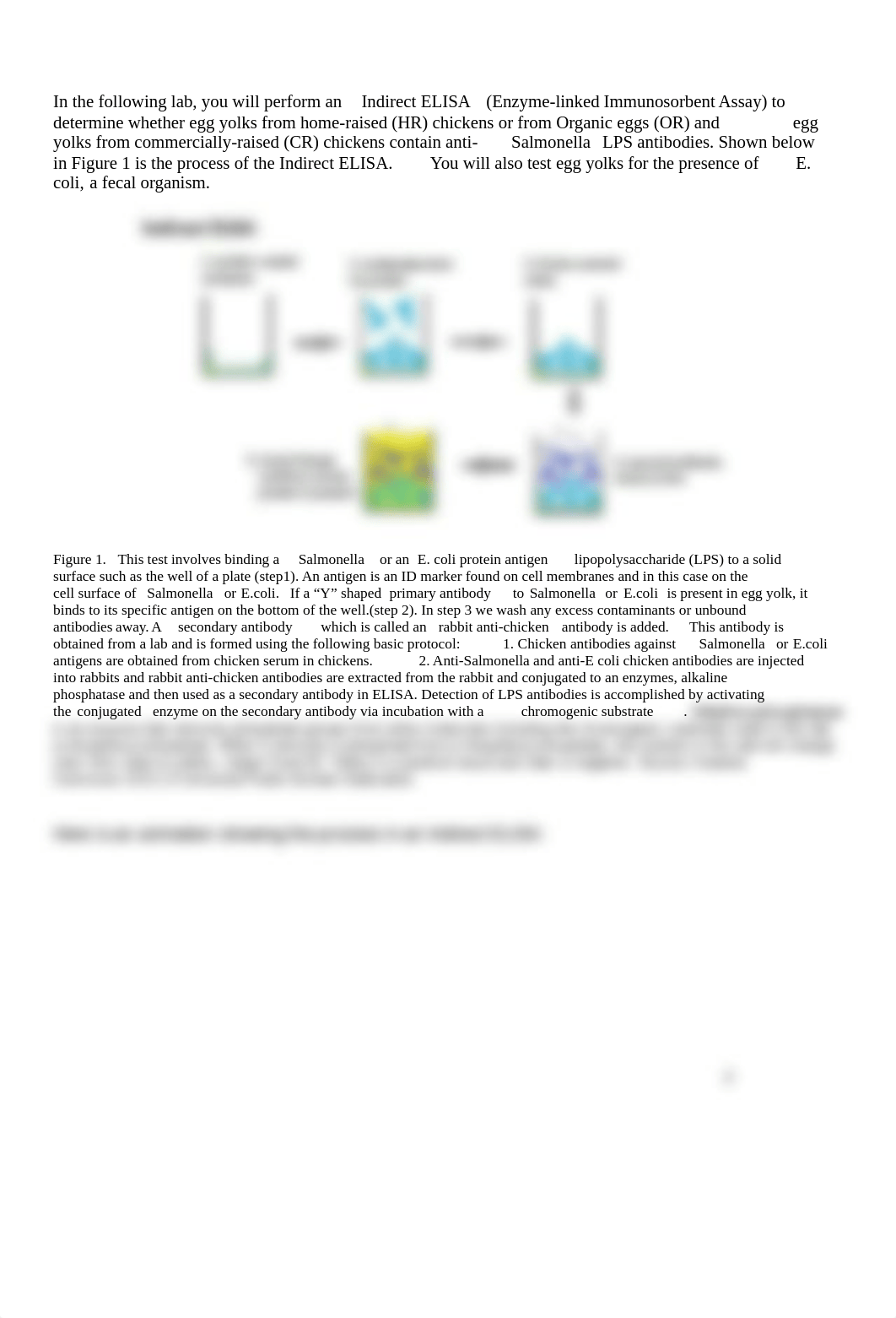 19.INDIRECT ELISA chicken eggs.docx_d8lk5348a7v_page2