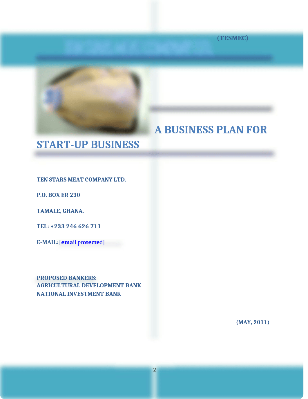 BUSINESS PLAN FOR GUINEA FOWL MEAT PROCESSING.docx_d8lnig2tr19_page2