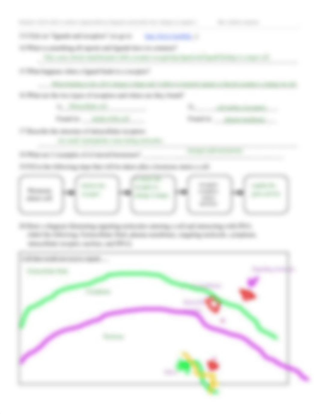 Kami Export - SignalTransductionCellCommunicationWebquest.pdf_d8lobf5pk8c_page3