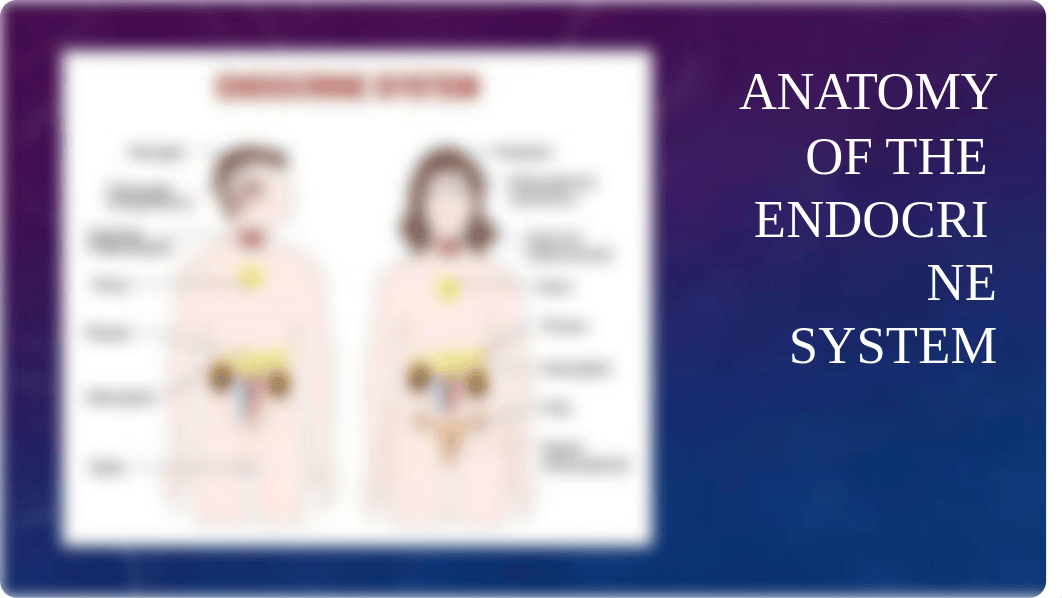 Chapter 39 Endocrine Disorders 2019.pptx_d8lx438kulh_page2