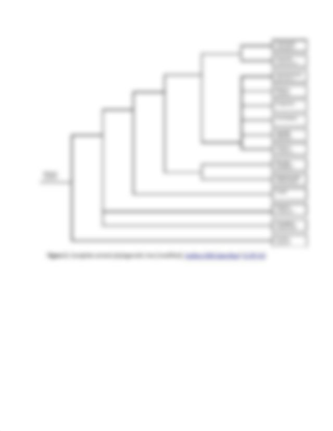 Lab_Week 8_ Invertebrates.pdf_d8m05cofby9_page3