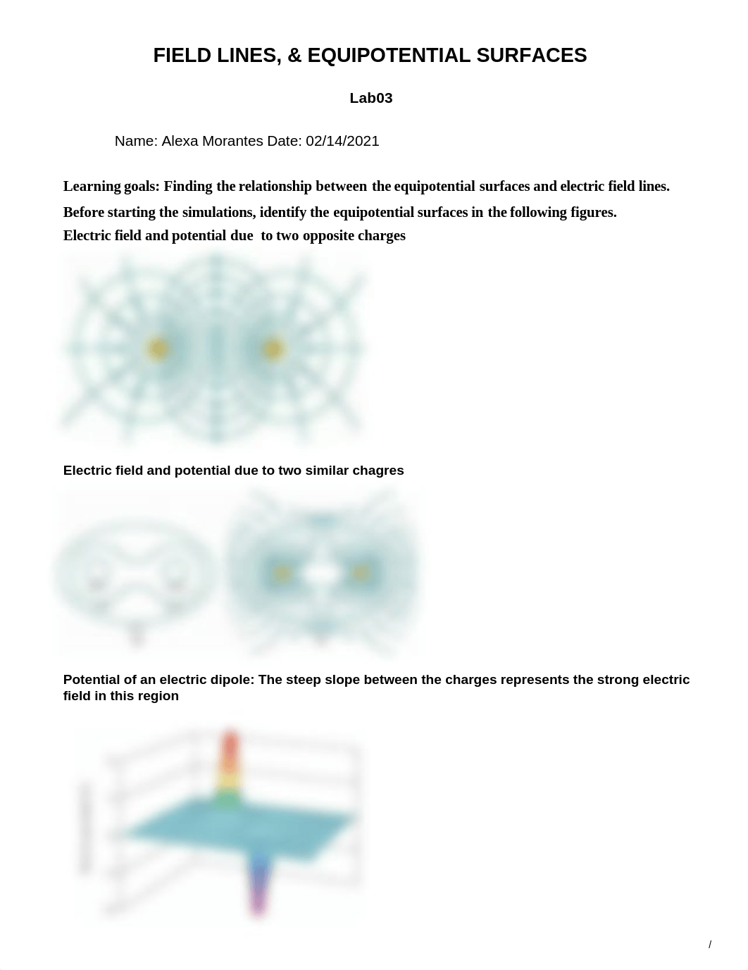 Lab03_Equipotential(1).docx - Google Docs.pdf_d8m3gp2kaai_page1