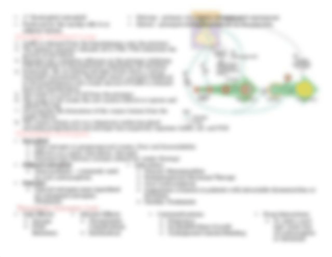 Estrogen Andorgen Progesterone DONE.docx_d8mc7rtl30x_page2