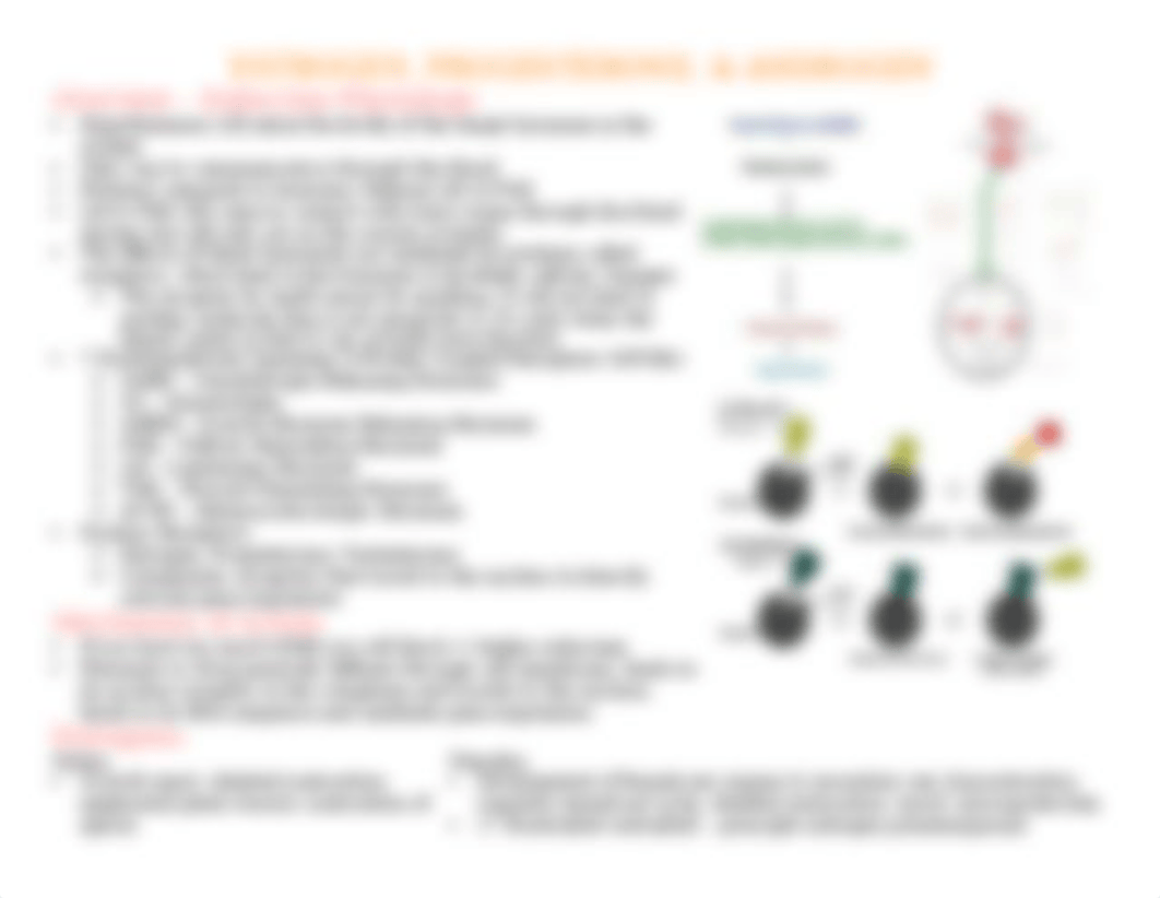 Estrogen Andorgen Progesterone DONE.docx_d8mc7rtl30x_page1