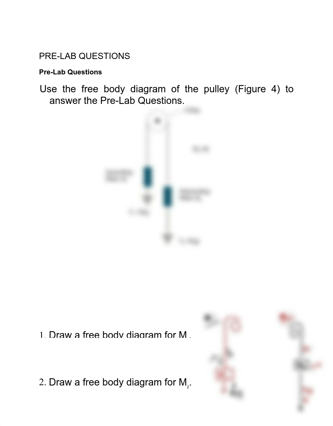 Unit 7 Lab-Newton-s Laws.pdf_d8mdzfnceyh_page1