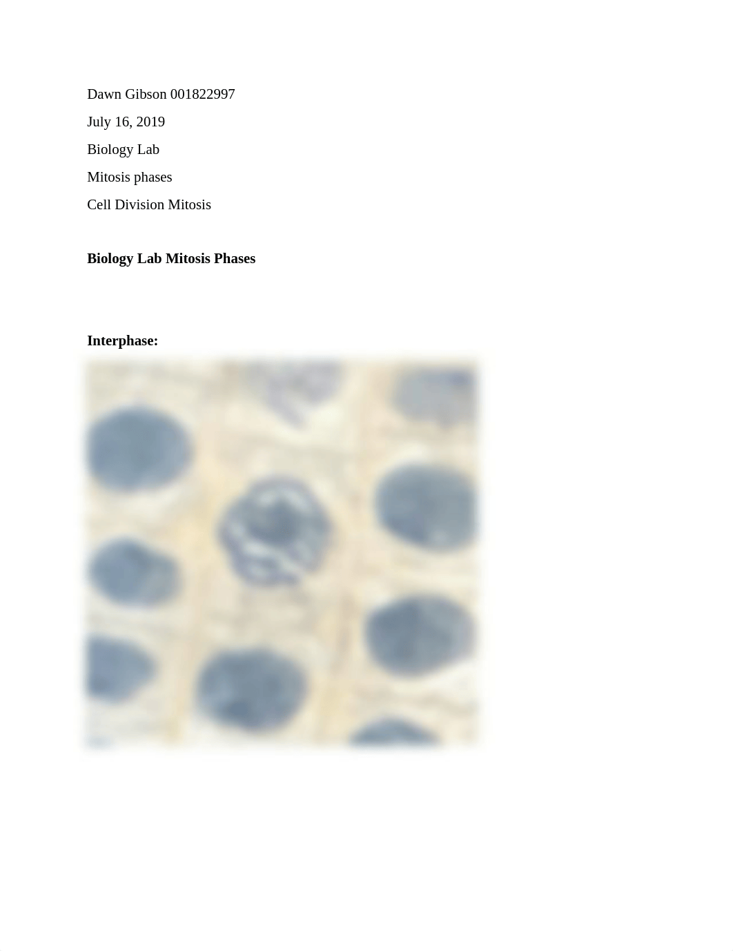 Biology Lab Mitosis Phases of Cell Division July 16 2019 .docx_d8mnp7wjbyt_page1