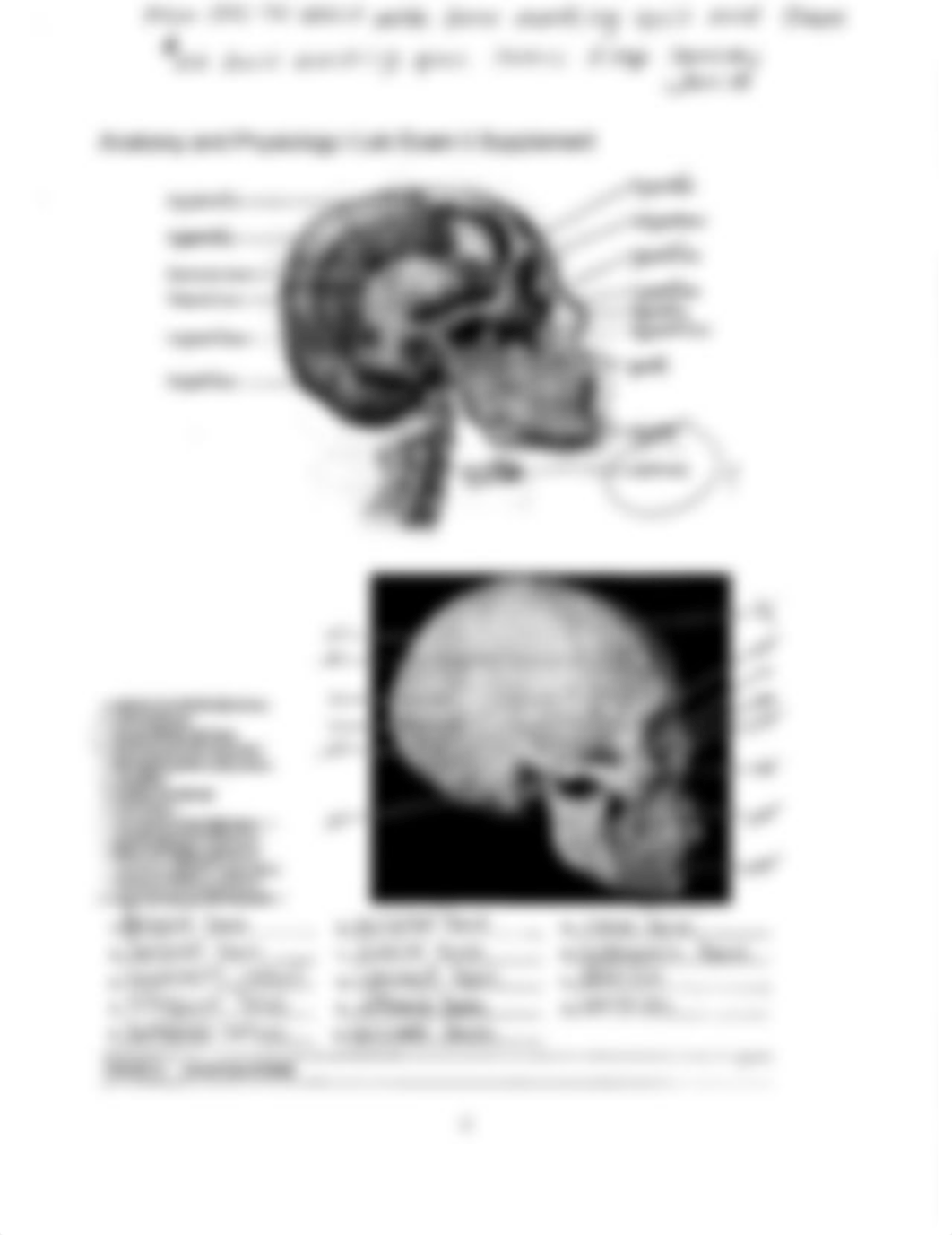 Lab 2 Exam Supplement (Bone Labeling) .pdf_d8mqcsfk3s7_page1