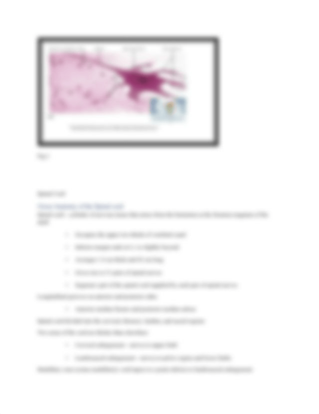 Lab handout # 9 Histology of Nervous tissue and Spinal cord.docx_d8mqqkx6fk5_page2