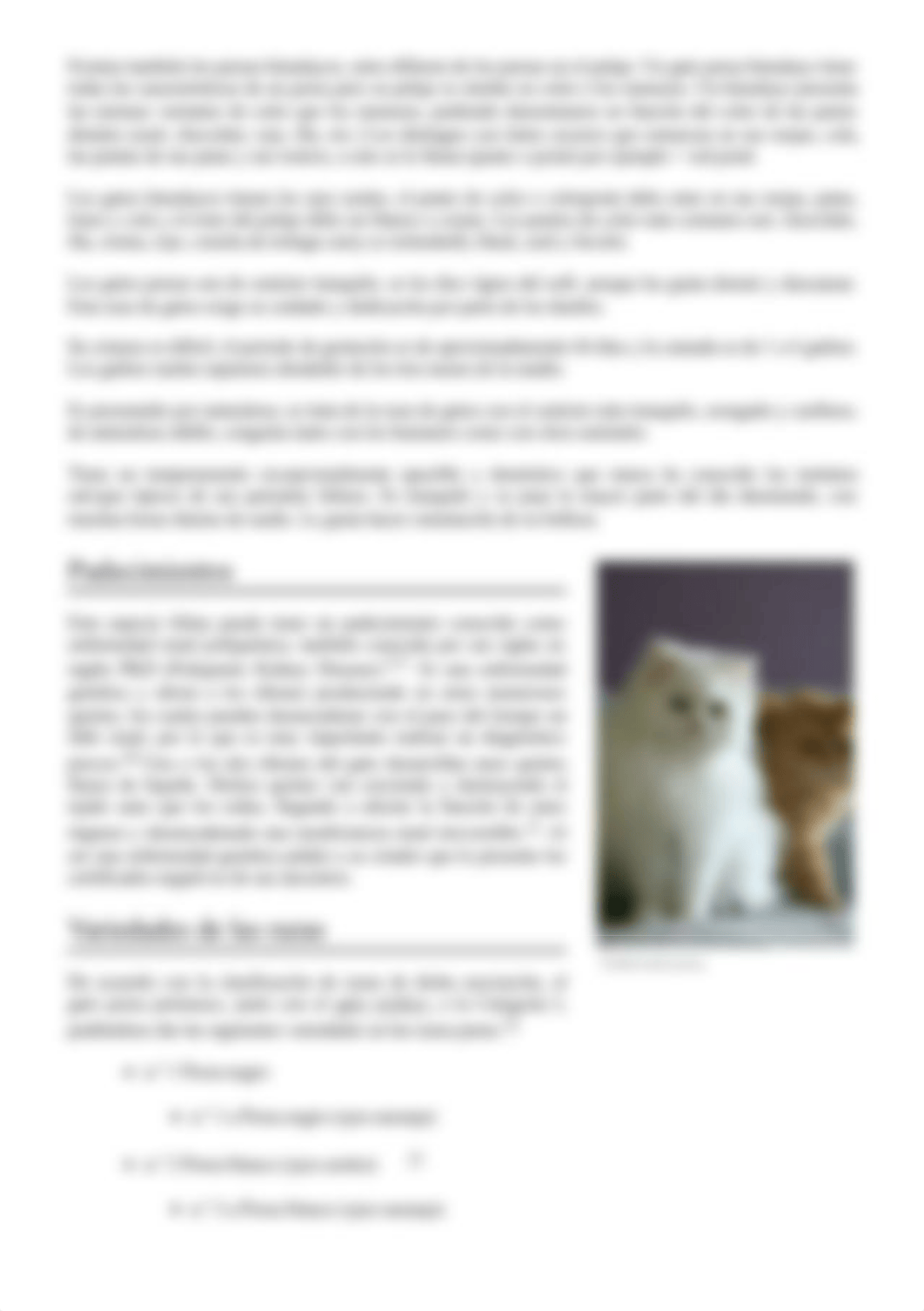 Gato_persa.pdf_d8ms8zefxr5_page3